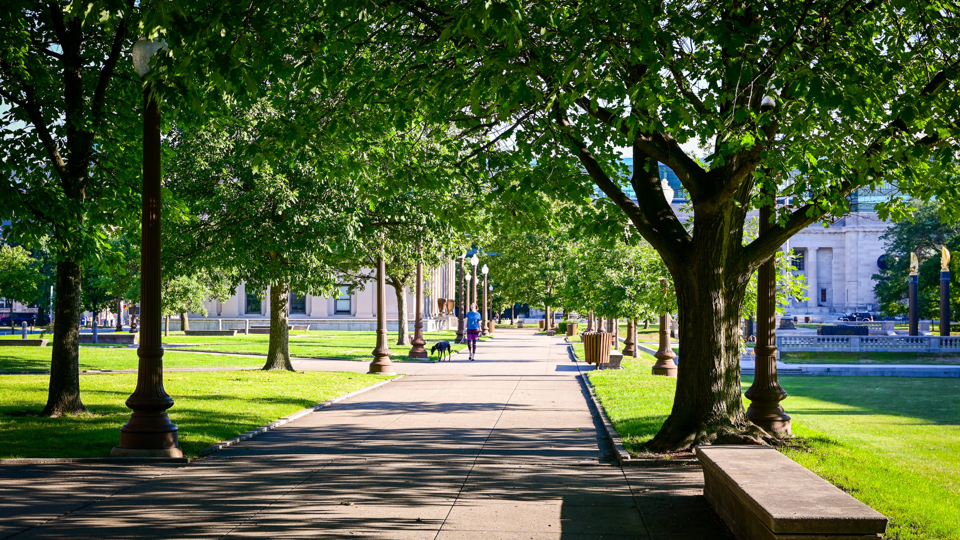 Valorisation du patrimoine arboré en alsace
